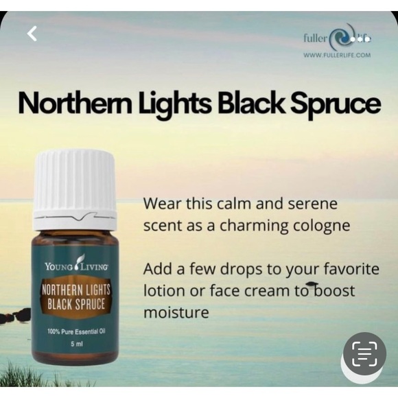Young Living Northern Lights Black Spruce Essential Oil - Picture 3 of 6